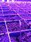 Chip della luce progressiva di crescita di pianta 1W SMD 3030 740nm 745nm LED